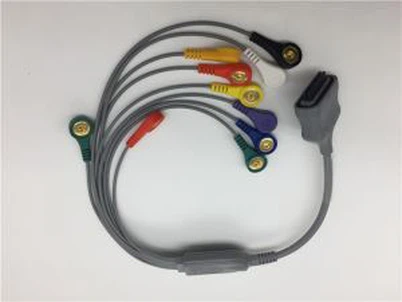 Edan Pad hjartalínuriti fyrir kaplar