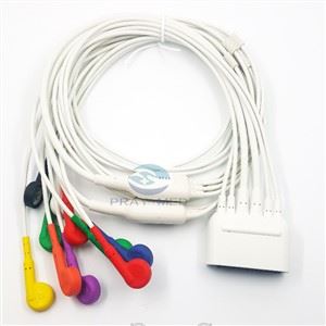 HP hjartalínuritssnúra 10 kaplar fyrir Philips