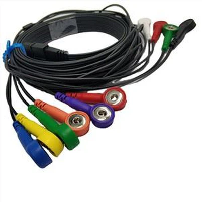 Schiller Ecg Holter kapall samhæft MS-12 Blue 10 Lead Snap